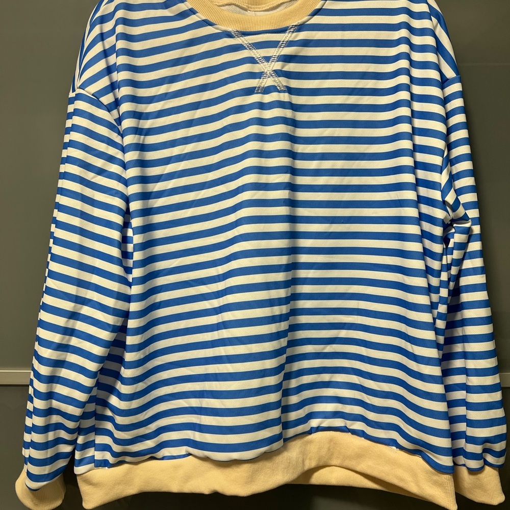 Blue and White Striped Sweatshirt